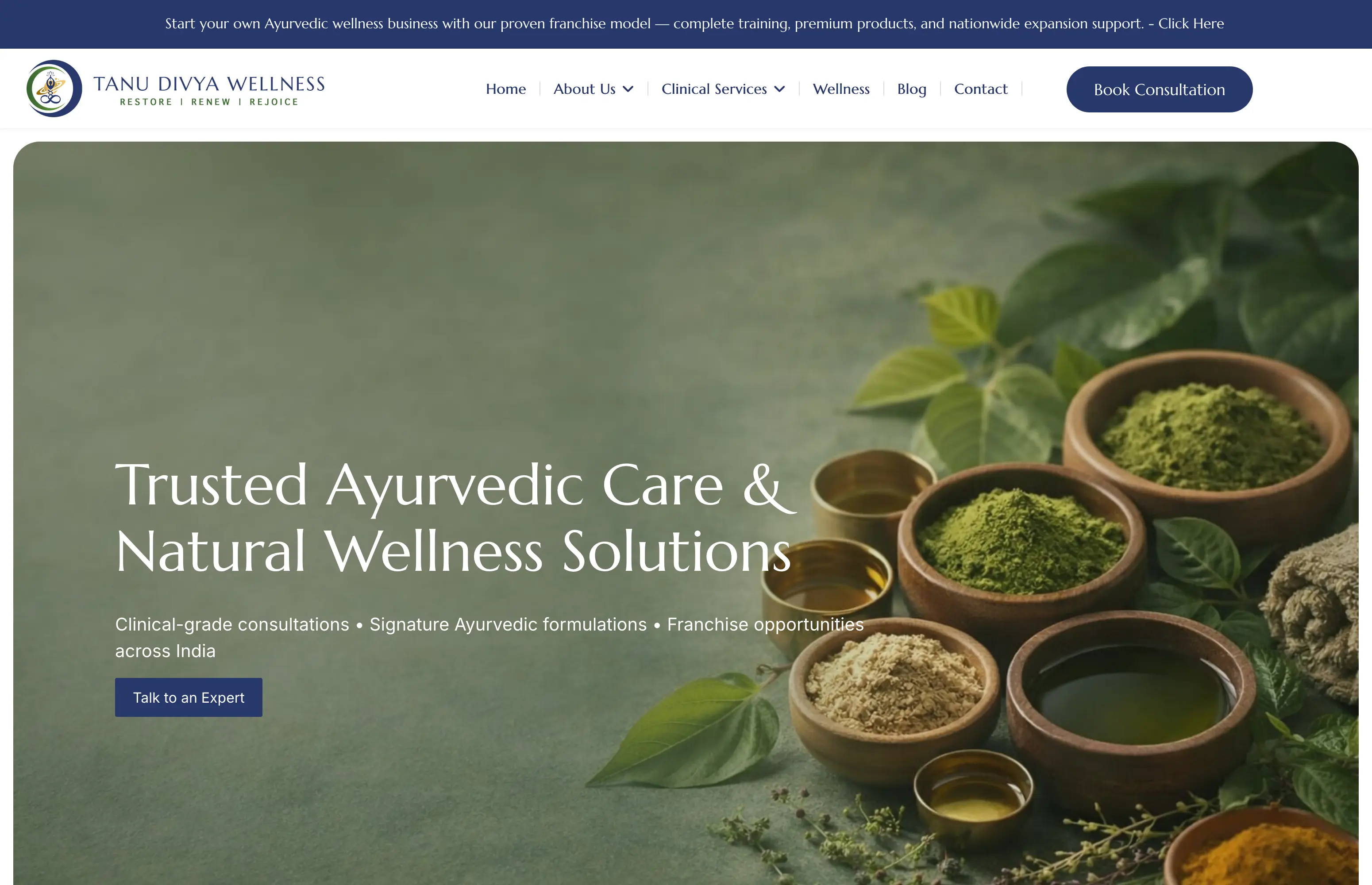 Tanu Divya Wellness Center Website